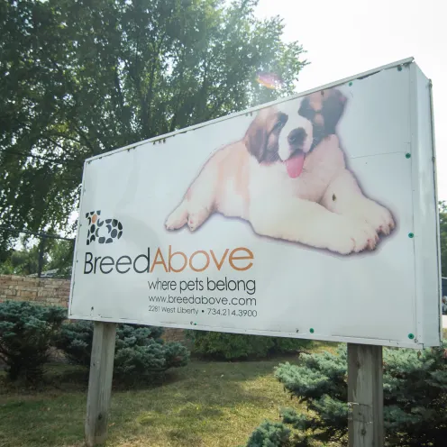Breed Above Outside Banner